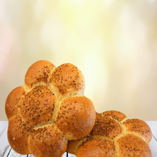 çağlayan fırını Ankara- timi sandviç- ekmek- çağlayan unlu mamuller-çiçek ekmek